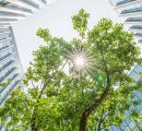 Sustainability disclosures are pivotal in driving climate action