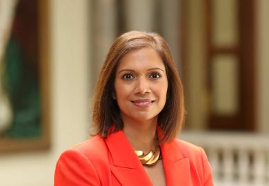 The UK-Mauritius Partnership: Celebrating a Year of Success