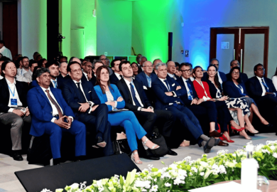 French companies stand out as leaders, and have a major role to play in Mauritius