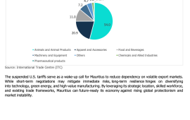 Mauritius must act swiftly and decisively to future-proof its economy against rising protectionism and unpredictable geopolitical shifts.