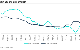 Mauritius growth cools amid global headwinds and domestic constraints