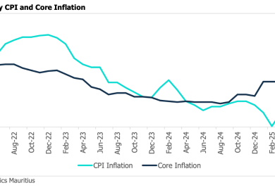 Mauritius growth cools amid global headwinds and domestic constraints