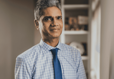 “If a bilateral agreement were negotiated, it would include additional market access for Mauritius special sugars”